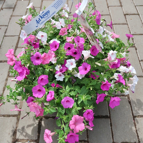 PW Hanging Basket