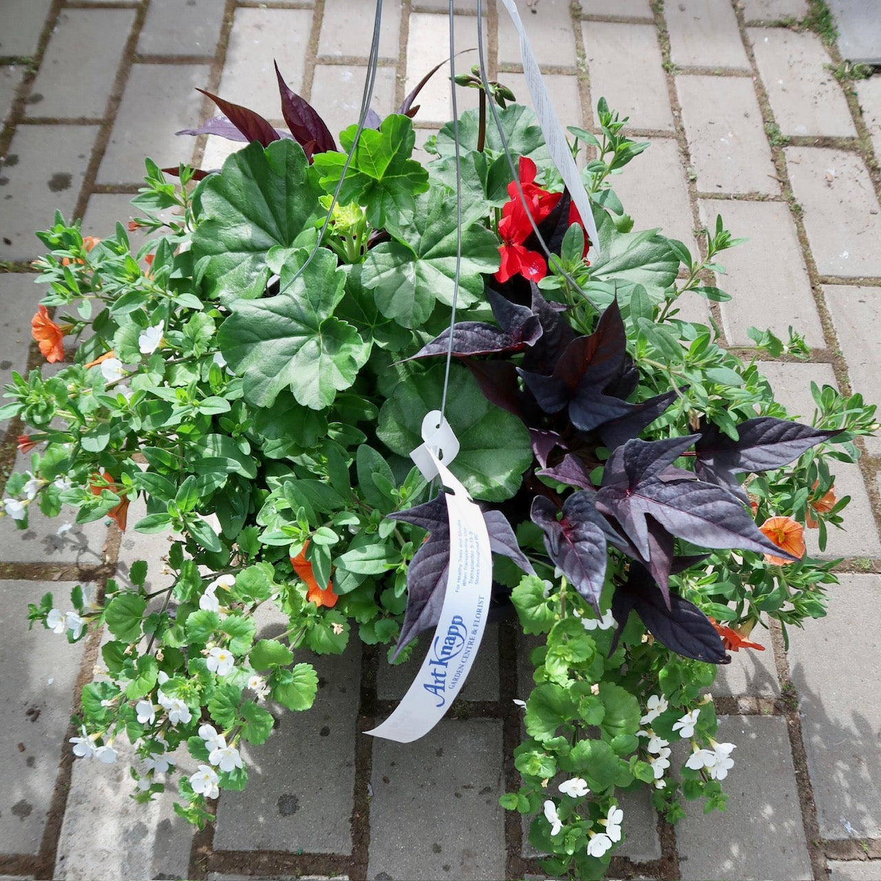 PW Hanging Basket