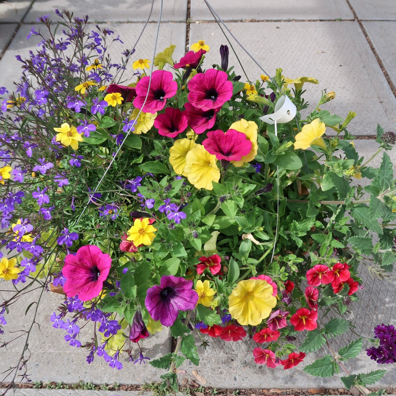 Wood Hanging Basket