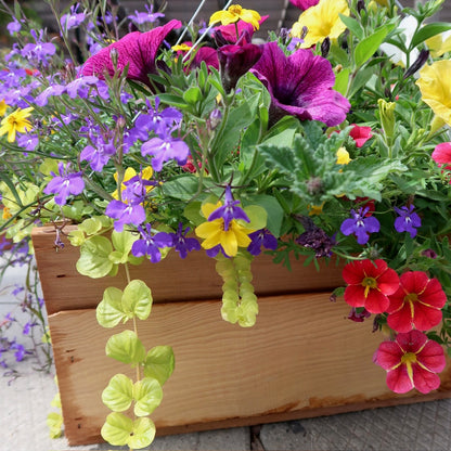 Wood Hanging Basket