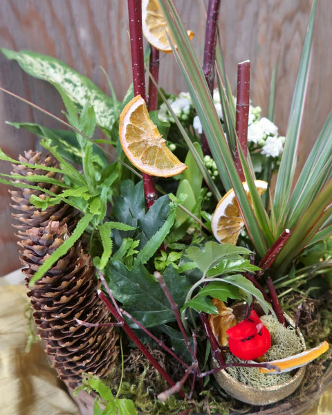 Tidings + Trims Dishgarden