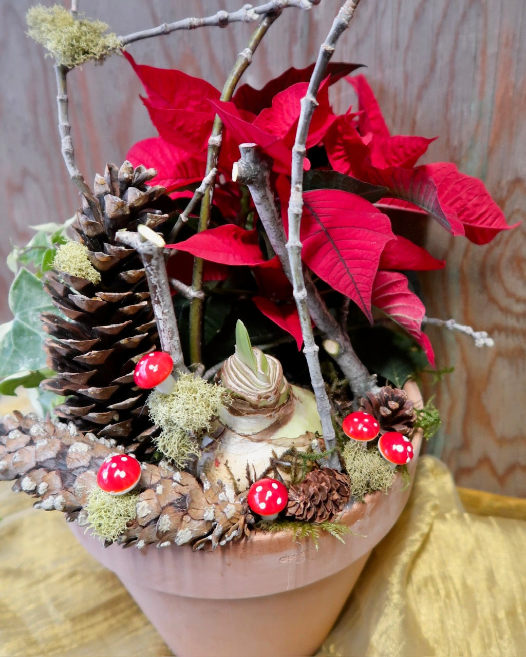 Forest Floor Garden