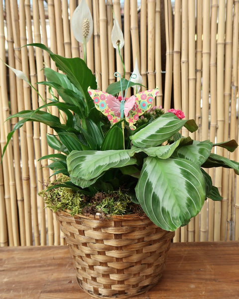 Butterfly Basket