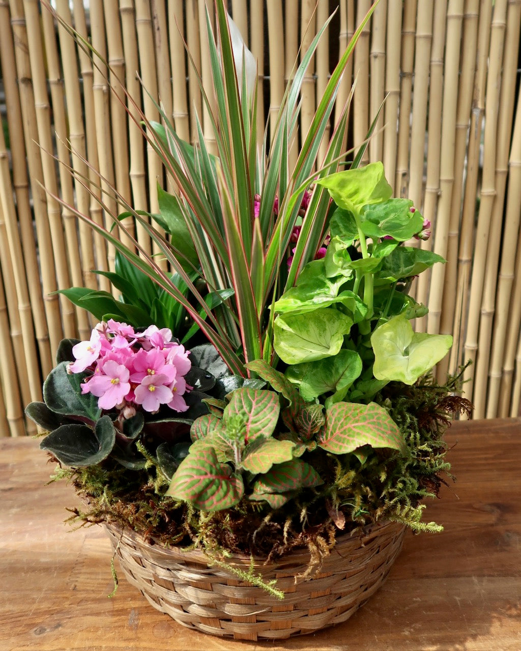Classic Dishgarden