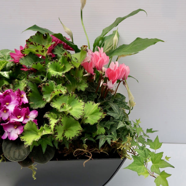 Seasonal Dishgarden